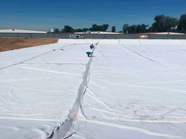 Construction matters of geomembrane composite with non-woven